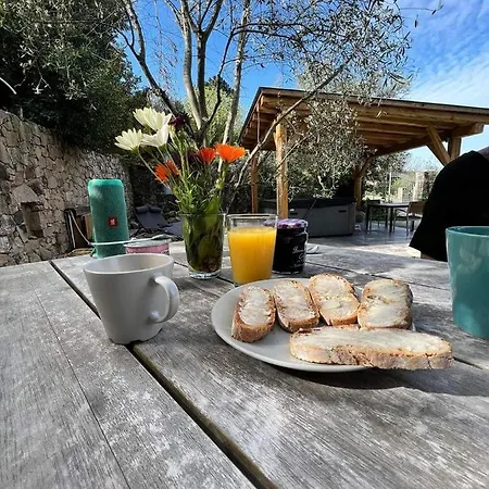 Entre & Maquis, L'ame De La Corse En De Charme Avec Jacuzzi, Proche Ajaccio Lägenhet