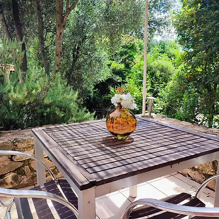 Entre & Maquis, L'ame De La Corse En De Charme Avec Jacuzzi, Proche Ajaccio Apartment